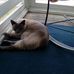 Amy Ulmer - Facebook