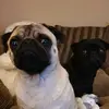 amy_underdown - @mrsjones29 - TikTok