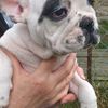 user9654853408032 - @user.amyvacek - TikTok
