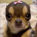 Amy Valenzuela - Facebook