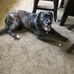 Amy R VanHorn - Facebook