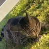 Amy Van overmeire - @amy.van.overmeire - TikTok