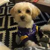 Amy Veal - @amy.veal4 - TikTok