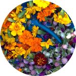 Amy Venable - @herbalthinker - Instagram