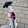 Turhan - @amyvollfosten - TikTok