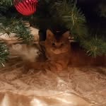 Amy Nichols Vowell - @nicholsvowell - Instagram
