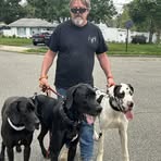 Amy Vowell - Facebook