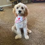 Amy Watkins - @_amy_watkins - Instagram