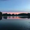 AmyMWatkins - @amymwatkins - TikTok