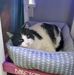 Amy Way - Facebook