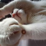 Amy Webber - @amy.webber.923 - Instagram