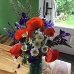 Amy Weisel Danielson - @amyweisel - Instagram