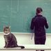 Amy E. Wendling - Facebook