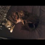 Amy Wescott - @amyw503 - Instagram