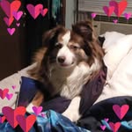 Amy Wescott - @badwolfwhovian1487 - Instagram
