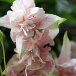 Amy Westgate - @northernlifesouthernwife - Instagram