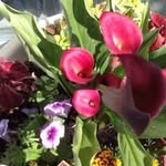 Amy Whaley - @amy_trouble13 - Instagram