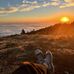 Amy Wharton Tirion - Facebook