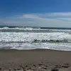 Amy Wichman - @amy.wichman - TikTok
