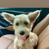 Ami wicks - @ami.wicks - TikTok