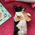 Amy Wildsmith - @amy_wildsmith - Instagram