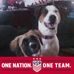 Amy Witkowski-Felton - Facebook