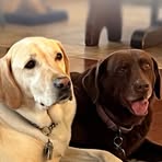 Amy Wilber - Facebook