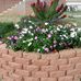Amy Willhite - Facebook