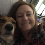 Amy Willison - @willisonamy - Instagram
