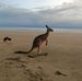 Amy Willman - Facebook