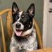 Amy Reiser Willmore - Facebook