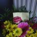 Amy Willows - Facebook