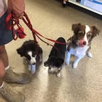 Amy Windeler Gerrard - @gerrard.amy - Instagram