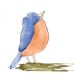 Amy Windus - Facebook