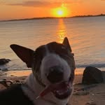 Amy - @amy.winerosa - Instagram