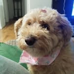 Amy Wine Rosa - @amywinerosa - Instagram