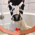 Amy Wines - Facebook