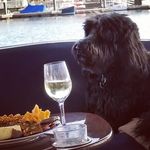 Amy Wynn Brown - @amywinesalot - Instagram