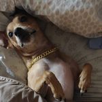 Amy Wingate - @aclarey076 - Instagram