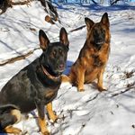 Amy Wingert - @a.wingert - Instagram