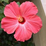 Amy Wingo - @amywingo - Instagram