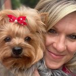 Amy Winner Jorgensen - @amyjyorkiemomma - Instagram