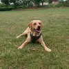 Amy Harris - @amy_winnie - TikTok