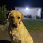 Amy Winters - @babyzoraatje - Instagram