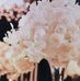 Amy Winters Events - Facebook