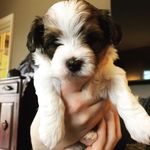 Amy Winton - @thepachomama - Instagram