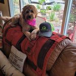 Amy Wipf - @amywipf - Instagram