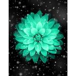 Amy wipf - @wipf_amy - Instagram