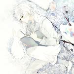 Amy_Wolf - @amy_wolf_drawings - Instagram