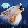 Amy wolf - @amywolf0808 - TikTok